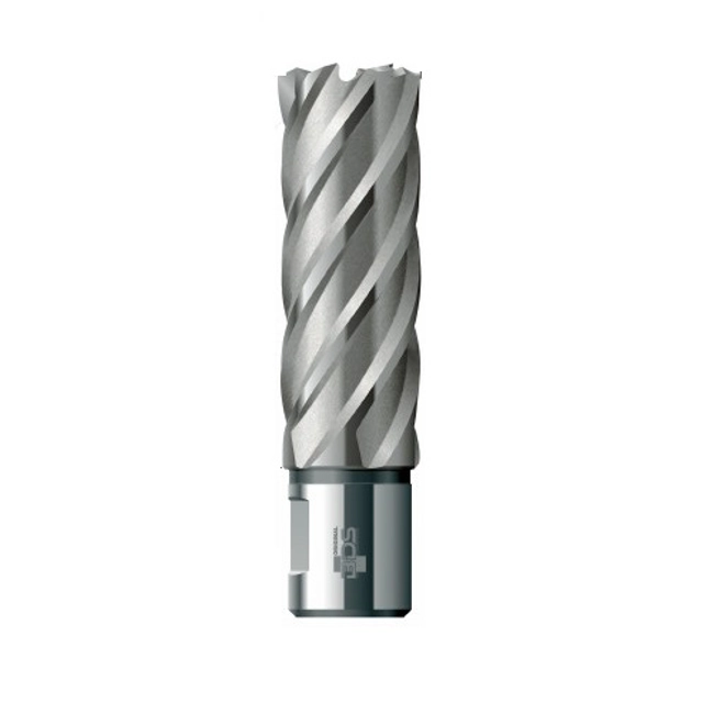 Vendita online Fresa lunga a Corona in acciaio HSS Weldon 19 mm.